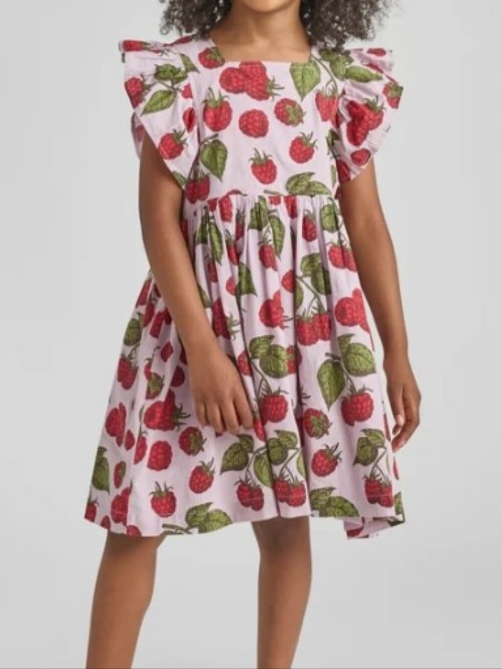 NWT PINK CHICKEN ELSIE DRESS IN LAVENDER RASPBERRIES